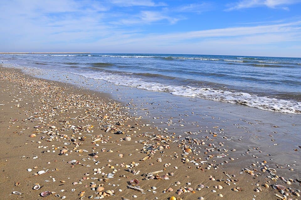 Playas de Ayamonte: Isla Canela y Punta del Moral