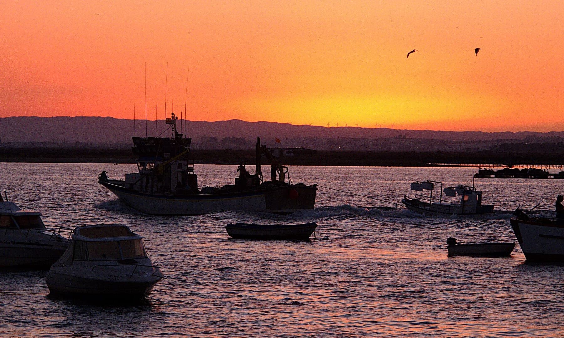 Paseo en barco por las marismas de Isla Cristina