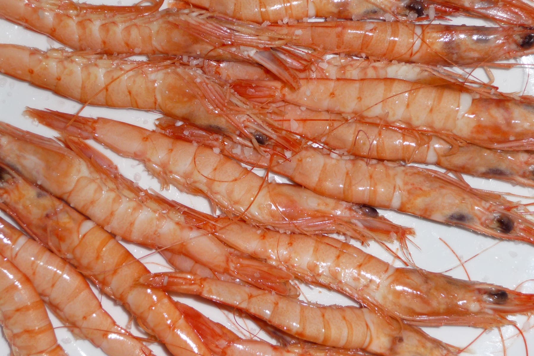 Gamba blanca de Huelva