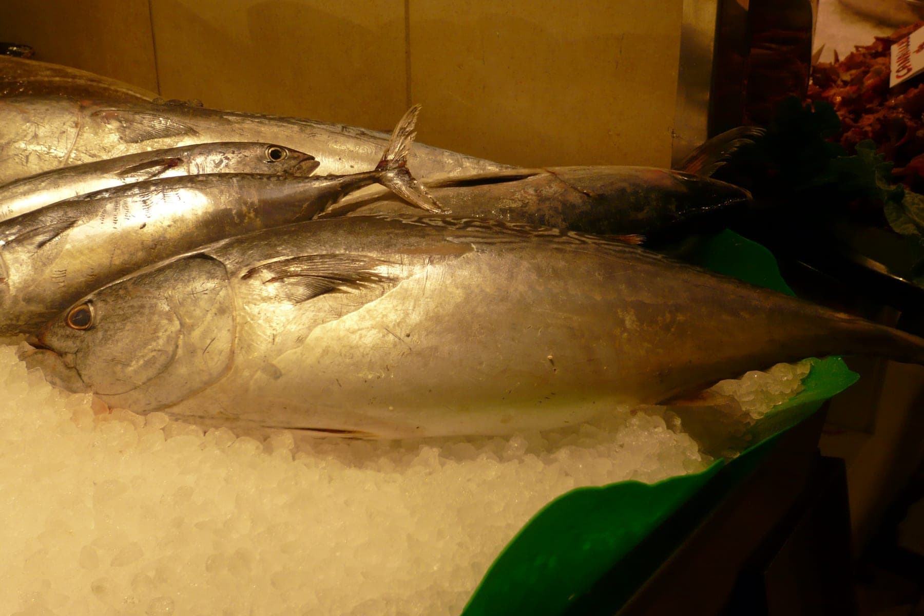 Pescado de lonja