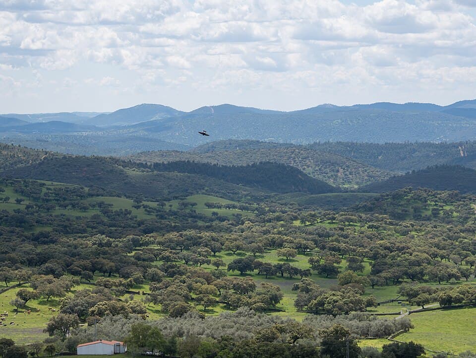 Fin de semana en Aracena y la Sierra de Huelva